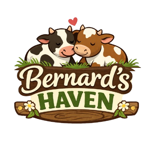BERNARDS HAVEN